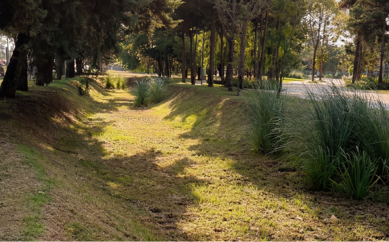 Avance de obra - Espacios verdes