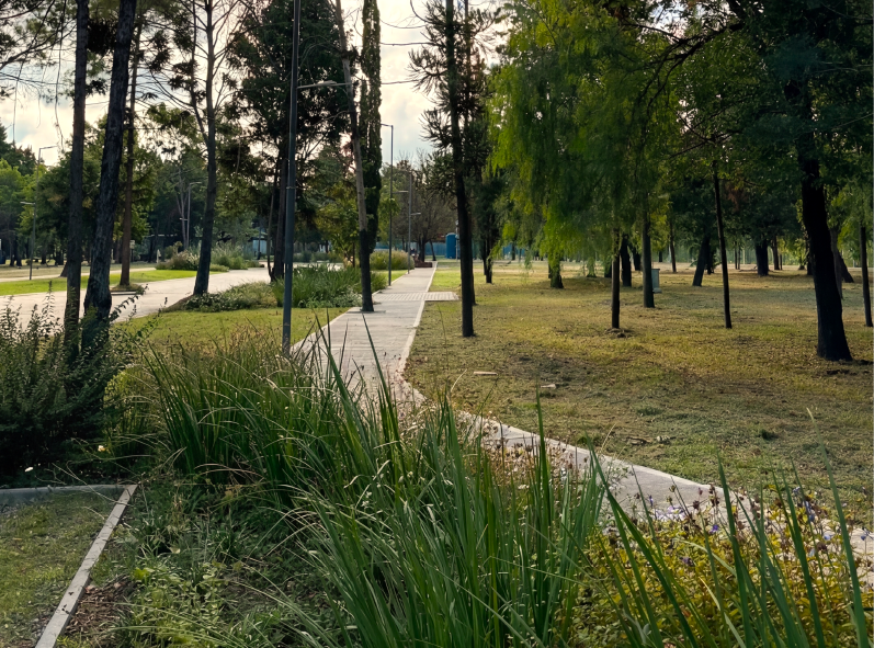 Interior del parque Nuevallende