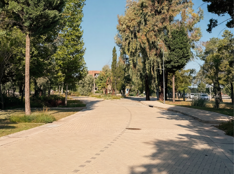 Avance de obra - Accesos y vialidad